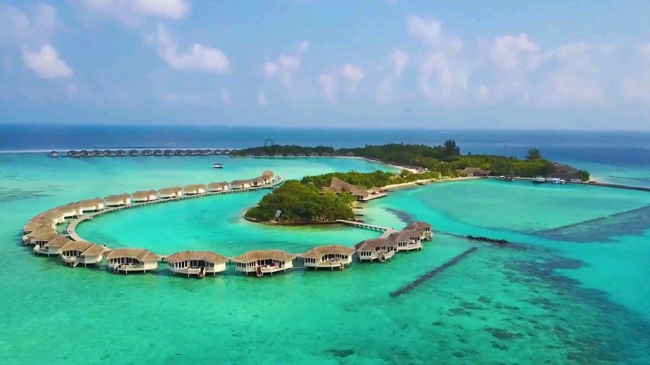 星露谷物语