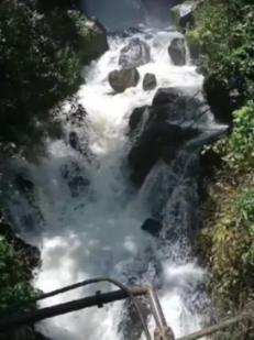 夏之许诺